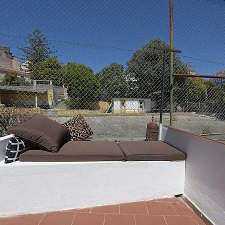 Center With Terrace Daire